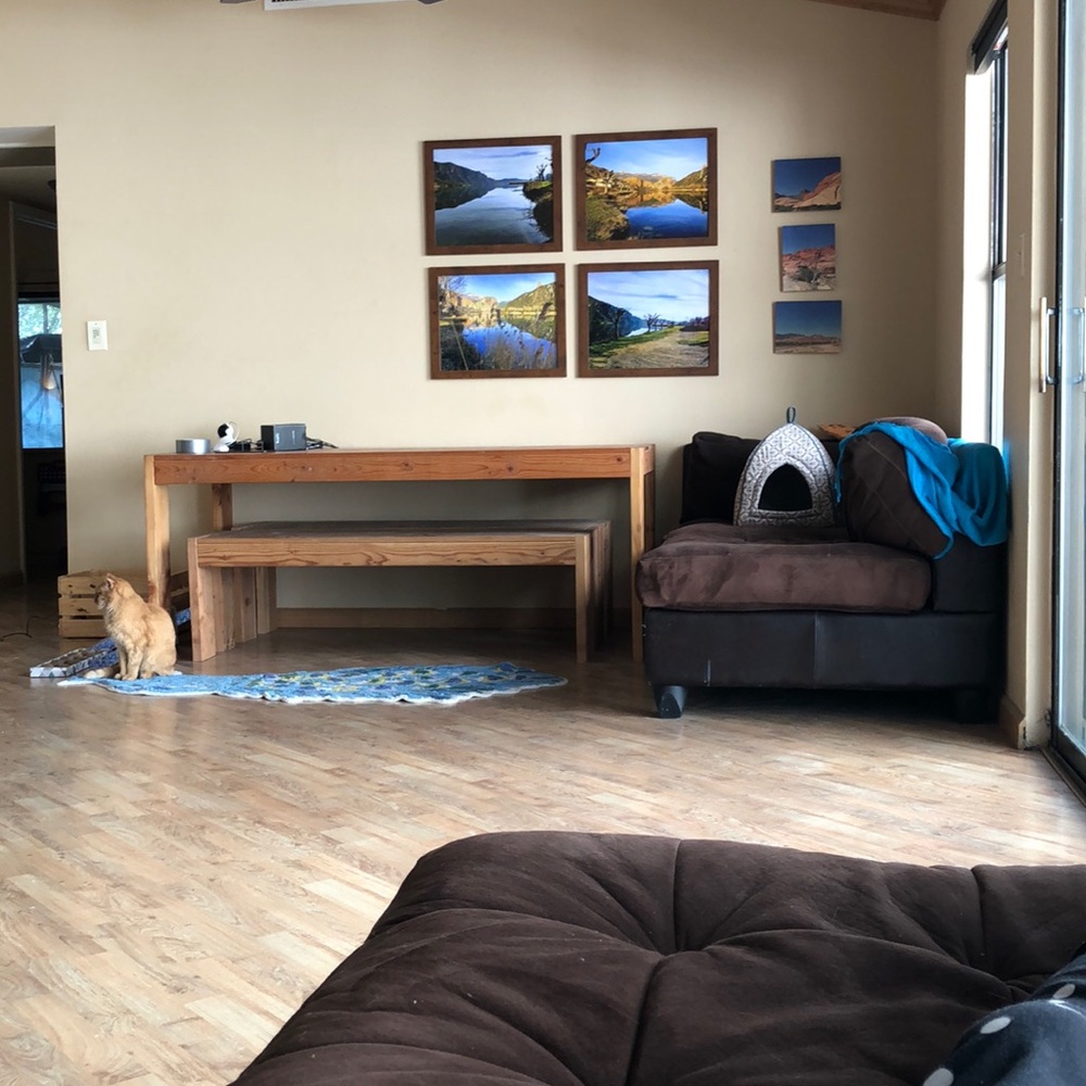 Meet your Posher, Alicia